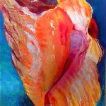 Mariel's Shell
