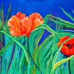 Poppies